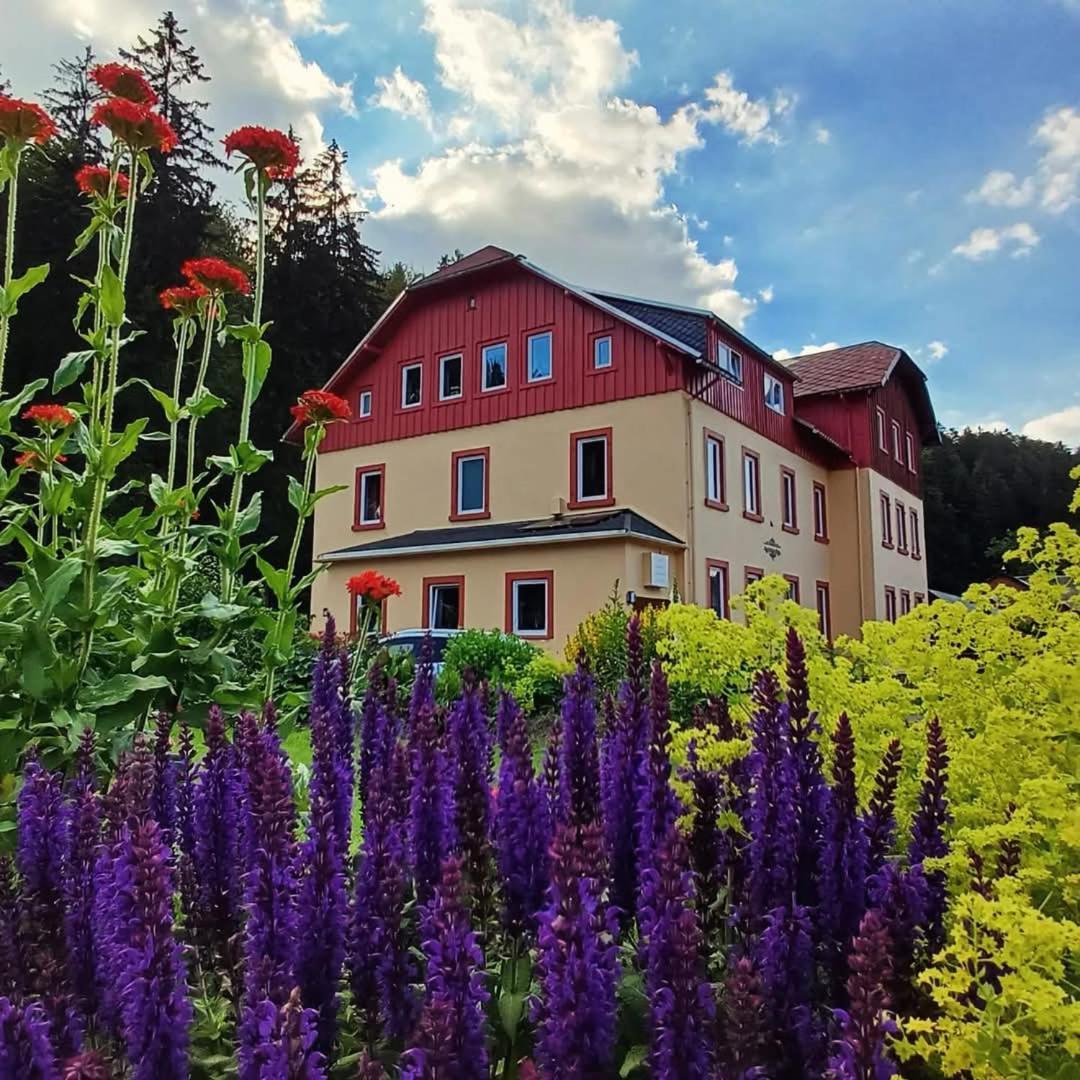 Apartament Haus Stefanie Elvire Altenberg  Zewnętrze zdjęcie